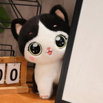 Big-Eyed Cute Kitten Plush - Hops and Pops - Cute - Plushies - Kawaii - Cat Plush - Stuffed Animals