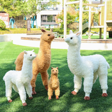 Four standing alpaca plushies in white and brown of different sizes on a park lawn