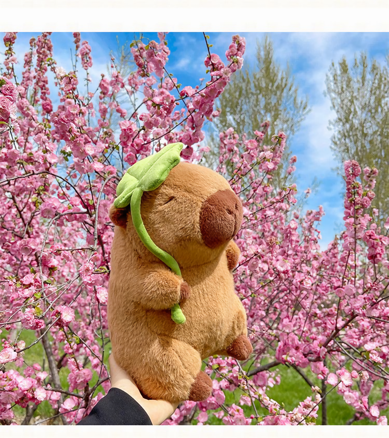 Lotus leaf capybara plush among pink blossoms outdoors
