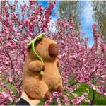 Lotus leaf capybara plush in front of pink cherry blossoms