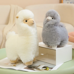 White and gray alpaca plushies on a small white box on a green table