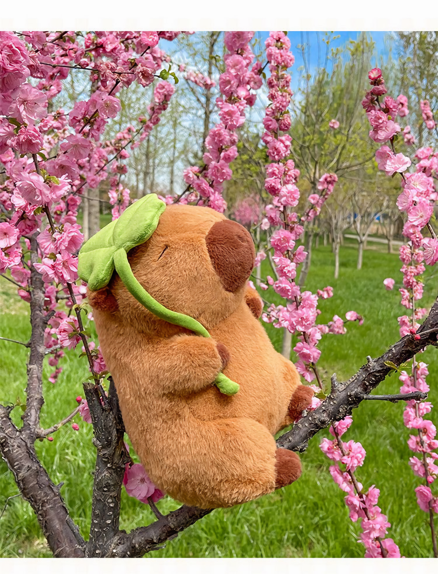 Lotus leaf capybara plush sitting in a blossoming tree