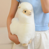 Girl holding a white alpaca plush against her blue top