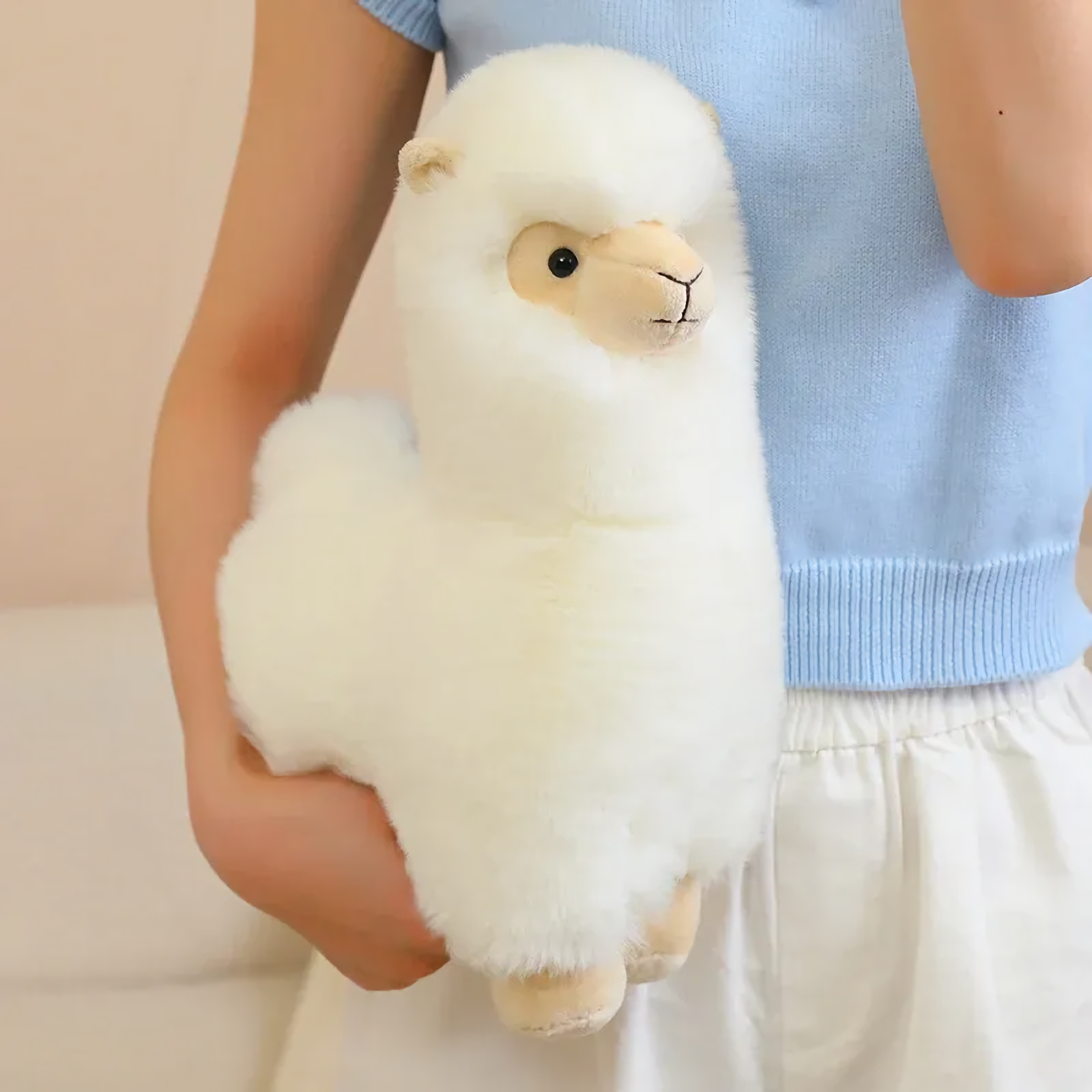 Girl holding a white alpaca plush against her blue top