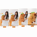Size comparison of lotus leaf capybara plushies marked 30cm, 40cm, 55cm and 85cm