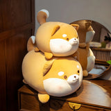 Chubby Shiba Plush