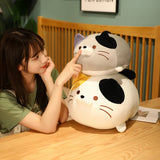 Chubby Cat Cuddle Plush
