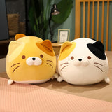 Chubby Cat Cuddle Plush