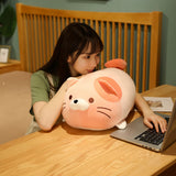 Chubby Cat Cuddle Plush