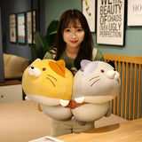 Chubby Cat Cuddle Plush