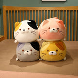 Chubby Cat Cuddle Plush