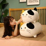 Chubby Cat Cuddle Plush