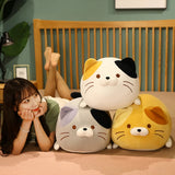 Chubby Cat Cuddle Plush