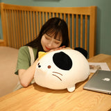 Chubby Cat Cuddle Plush