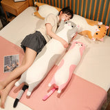 Paws Up! Looong Cat Plushies