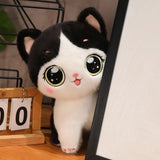 Big-Eyed Cute Kitten Plush