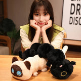 Caterpurr Cats - The Adorably Long Cat Plushies