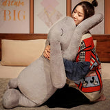 Dreamy Snuggle Bunnies Plush Rabbit Pillows