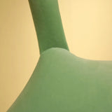 Squishy Veggie Ducks