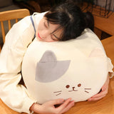 Chonk Cube Cats - Squishy Square Plush Pillows