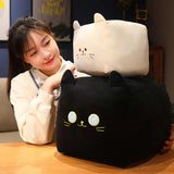 Chonk Cube Cats - Squishy Square Plush Pillows