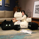 Chonk Cube Cats - Squishy Square Plush Pillows