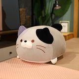 Chubby Cat Cuddle Plush