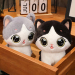 Big-Eyed Cute Kitten Plush - Hops and Pops - Cute - Plushies - Kawaii - Cat Plush - Stuffed Animals