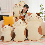 Chonky Belly Cat Looong Plushie - Hops and Pops - Cute - Plushies - Kawaii - Cat Plush - Stuffed Animals