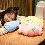 Plush Candy Hand Warmer Pillows - Hops and Pops - Cute - Plushies - Kawaii - Stuffed Animals