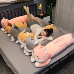 Slinky Cat Looong Plush - Hops and Pops - Cute - Plushies - Kawaii - Cat Plush - Theme: Kawaii/Cute